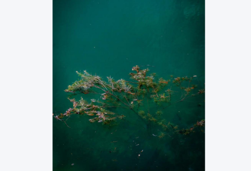 1755711914130675.png image.png