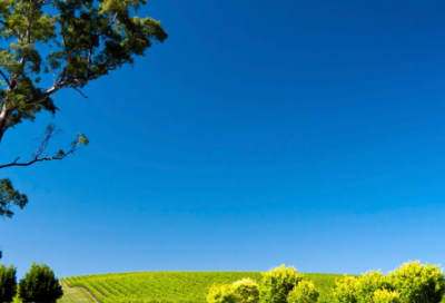 ​一年级用要是和就造句子(精选34句)