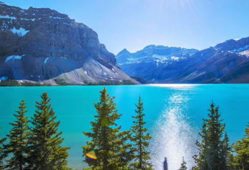 1755713084689065.png image.png