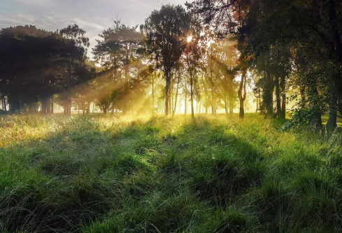 1755713250174050.png image.png