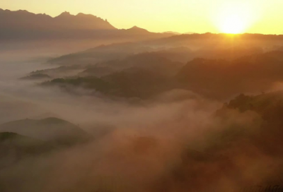 ​难过一年级造句大全 难过怎么造句一年级下册