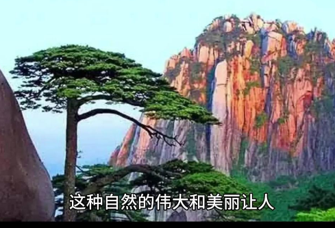 1755718578531317.png image.png