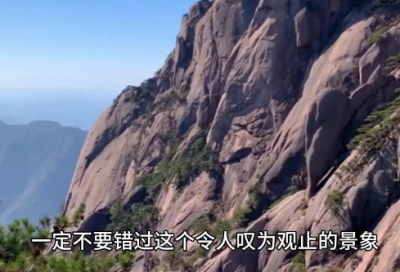 ​很也很造句大全一年级(精选44句)