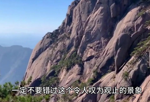 1755720077833289.png image.png