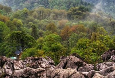 ​如果就造句一年级简单 最造句一年级简单的