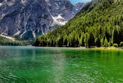 ​百发百中造句 百发百中造句短一点(精选33句)