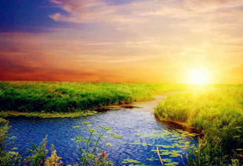 1755721741209794.png image.png