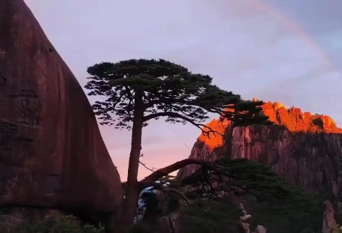 1755721908326238.png image.png