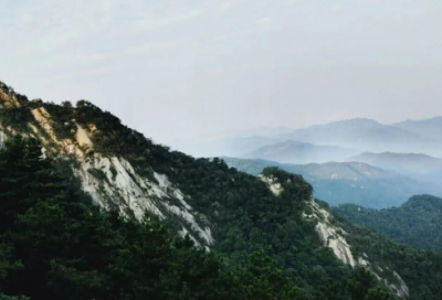 ​用有的......有的......有的......造句