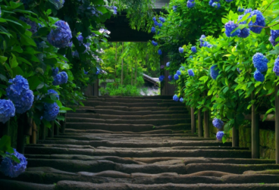 ​摇头晃脑造句 摇头晃脑造句10字(精选31句)