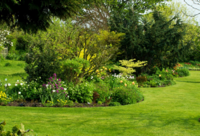 ​用要是造句一年级 决定造句一年级(精选35句)