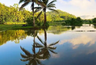 ​如果就造句二年级 组成造句三年级(精选36句)