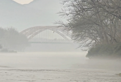 ​惊奇造句一年级 惊奇造句一年级短一点(精选39句)