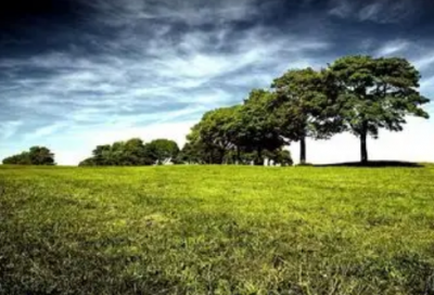 ​用越俎代庖造句大全 越俎代庖的造句(精选23句)