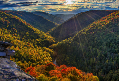 1755727900577825.png image.png