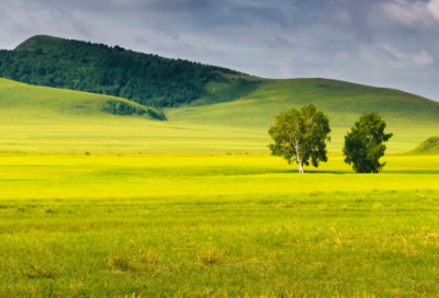 ​用相安无事造句大全 相安无事怎么造句(精选25句)