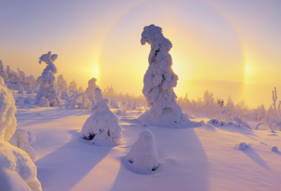 ​用像和仿佛造句大全 一年级仿佛造句大全(精选20句)