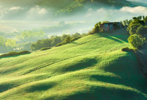 1755728732803004.png image.png