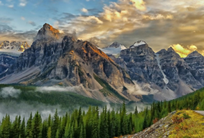 ​一年级用梦想造句 为什么造句一年级简单(精选31句)