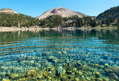 ​建树造句 用建树造句大全(精选19句)