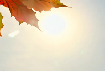 ​从此造句一年级 从此造句一年级下册(精选32句)