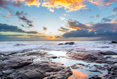 ​争奇斗艳造句 争奇斗艳造句10字(精选21句)