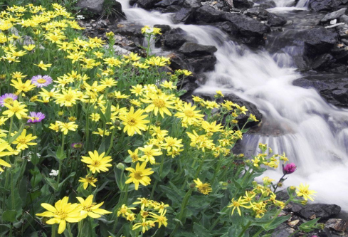 1755731227841462.png image.png