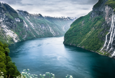 ​掩耳盗铃造句 掩耳盗铃造句一年级(精选26句)