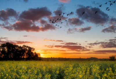 ​如果就造句大全二年级 艰苦造句大全二年级