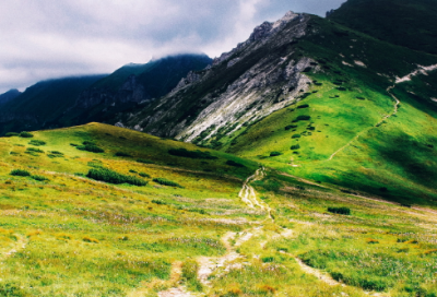 ​必须造句二年级 必须造句二年级短的(精选36句)