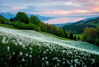 ​既也造句二年级大全 用每当造句大全二年级