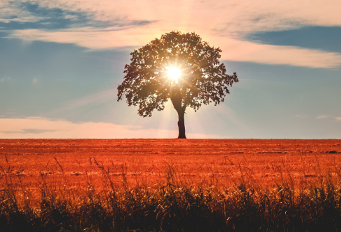 1755733890701519.png image.png