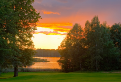 ​用明日黄花造句大全 明日黄花怎么造句(精选20句)