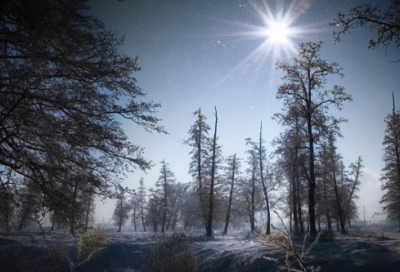 ​用又什么又什么造句子(精选24句)