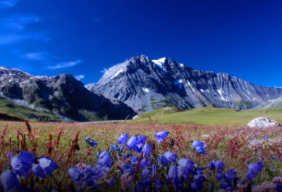 ​一叶知秋造句 一叶知秋造句一年级(精选22句)