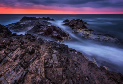 ​公园里的花有的有的有的造句(精选16句)