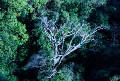 ​用相当于造句 用相当于造句简单点(精选23句)