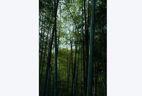 1755738049856963.png image.png