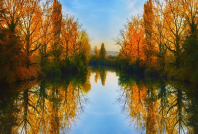 ​塞翁失马造句 塞翁失马造句一年级(精选14句)