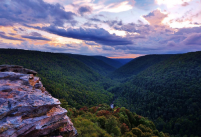 ​既不也不造句大全 用既不像也不像什么造句