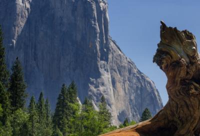 ​既不也不造句大全 原来既不也不造句大全(精选18句)