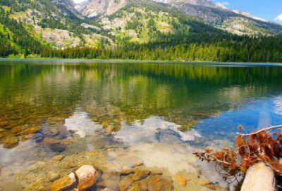 ​望其项背造句 望其项背造句简单(精选15句)