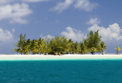 ​只好造句一年级 只好造句一年级短一点(精选31句)