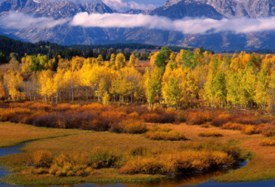 ​不就造句一年级 不就造句一年级下册问号(精选18句)