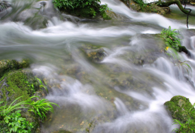 ​争奇斗艳造句三年级 争奇斗艳造句三年级简单