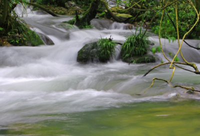 ​既也造句二年级简单 既也造句二年级(精选25句)