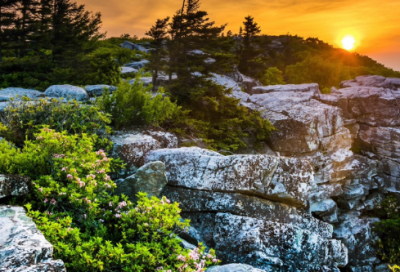 ​用犹豫造句三年级集锦(精选25句)