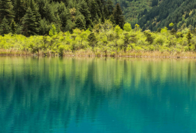 ​是不是造句二年级 是不是造句二年级问句(精选17句)