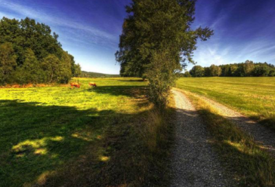 ​呀造句大全一年级 用也造句大全一年级(精选23句)