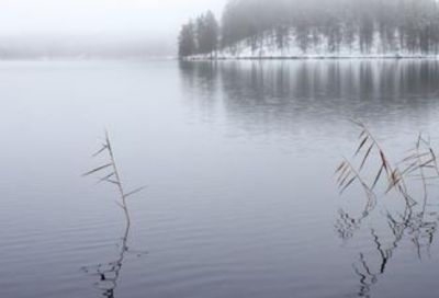 ​用如果什么就什么造句大全 什么好像什么造句大全